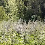 Tinyhaus Naehe Bodensee
