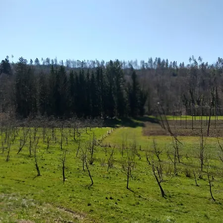 Naehe Bodensee *
