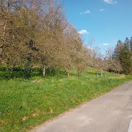 Holiday home Naehe Bodensee