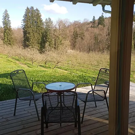 Naehe Bodensee Holiday home Neukirch (Tubingen)