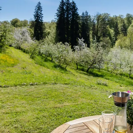 Tinyhaus Naehe Bodensee