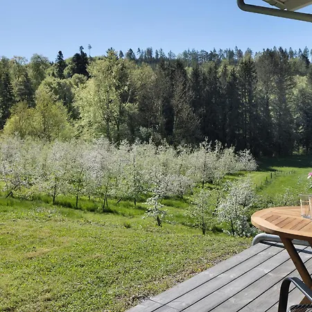 Apartamento Tinyhaus Naehe Bodensee *