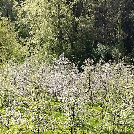 Tinyhaus Naehe Bodensee
