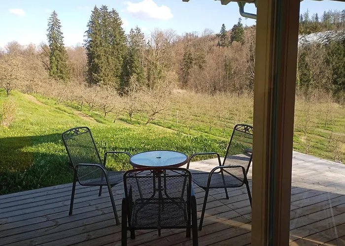 Naehe Bodensee 度假居 诺伊基希